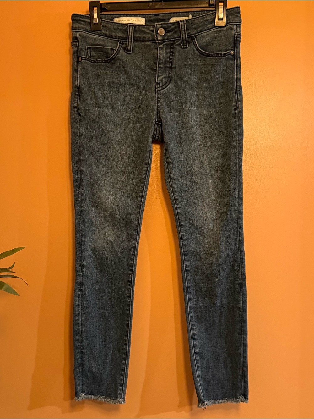Pilcro Anthropologie Stet Jeans 27 Petite Skinny Ankle Raw Hem Stretch Denim
